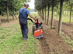 ditcher two wheel tractor