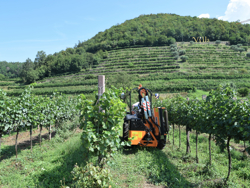 braccio decespugliatore idraulico per trattore trincia o barra tosasiepi mod airone 60
