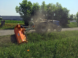 trincia laterale con scatola interna per trattori in frutteto e argini deleks