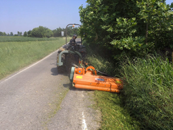 trincia laterale con scatola interna per trattori in frutteto e argini deleks