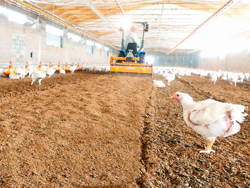 fresa miscelatrice per lettiere di allevamenti avicoli pavo 120