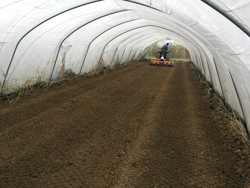 fresa agricola interrasassi 135 cm lavoro utile con rullo per l orto e letto di semina mod dfu 140