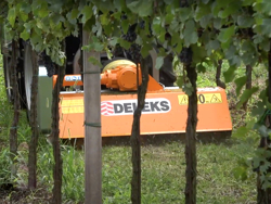 trincia a mazze per trattore 140cm di taglio serie leggera per erba e vigneto mod lince 140
