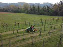 trincia a mazze per trattore tipo carraro 120cm di taglio spostabile serie leggera lince sp120