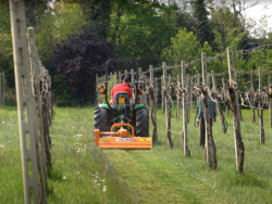 trincia trinciasarmenti spostabile per trattore serie leggera da 140cm di taglio erba e sarmenti lince sp140