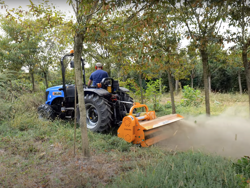 trincia erba e sarmenti a mazze serie media da 140cm di taglio per trattore da frutteto mod leopard 140 sp