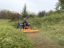 trincia erba e sarmenti a mazze serie media da 140cm di taglio per trattore da frutteto mod leopard 140 sp
