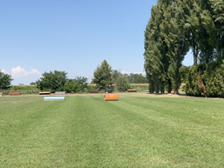 trinciasarmenti da 160cm di taglio raccolta panda 160