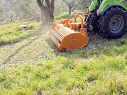 trinciasarmenti a mazze spostabile per trattore da vigneto mod gepard 170