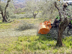 trinciasarmenti a mazze spostabile per trattore da vigneto mod gepard 190