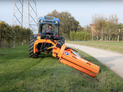 trincia argini per trattore serie pesante a mazze 180cm di taglio trinciasarmenti mod dragon 180