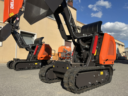 minidumper motore kubota m8000