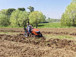 trattore agricolo tafe 6020