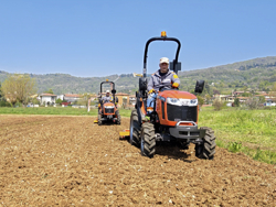 trattore agricolo tafe 6020