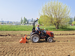 trattore agricolo tafe 6020