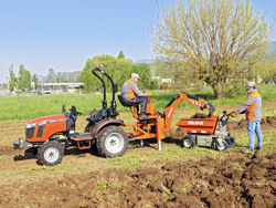 trattore agricolo tafe 6028