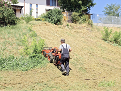 trincia60 motocoltivatore