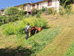 motocoltivatore cingolato deleks motore kama420cc