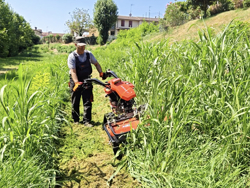 motocoltivatore cingolato deleks motore loncin420cc