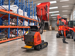 minidumper motore kubota m8000